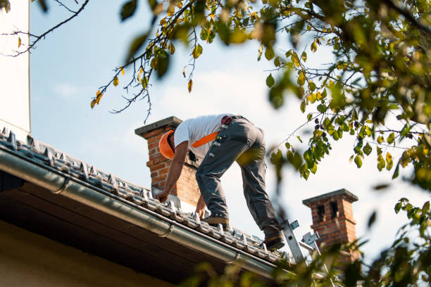 Fast & Reliable Emergency Roof Repairs in Tama, IA